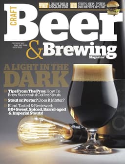 A Light in the Dark (April-May 2016)