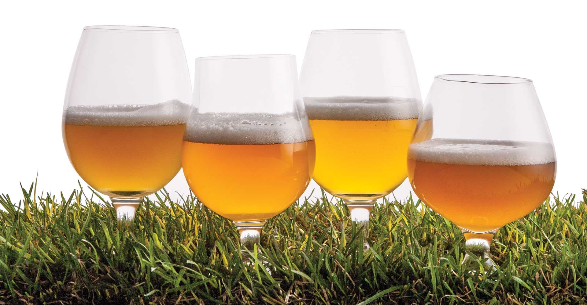 The Question Mark Saison Recipe