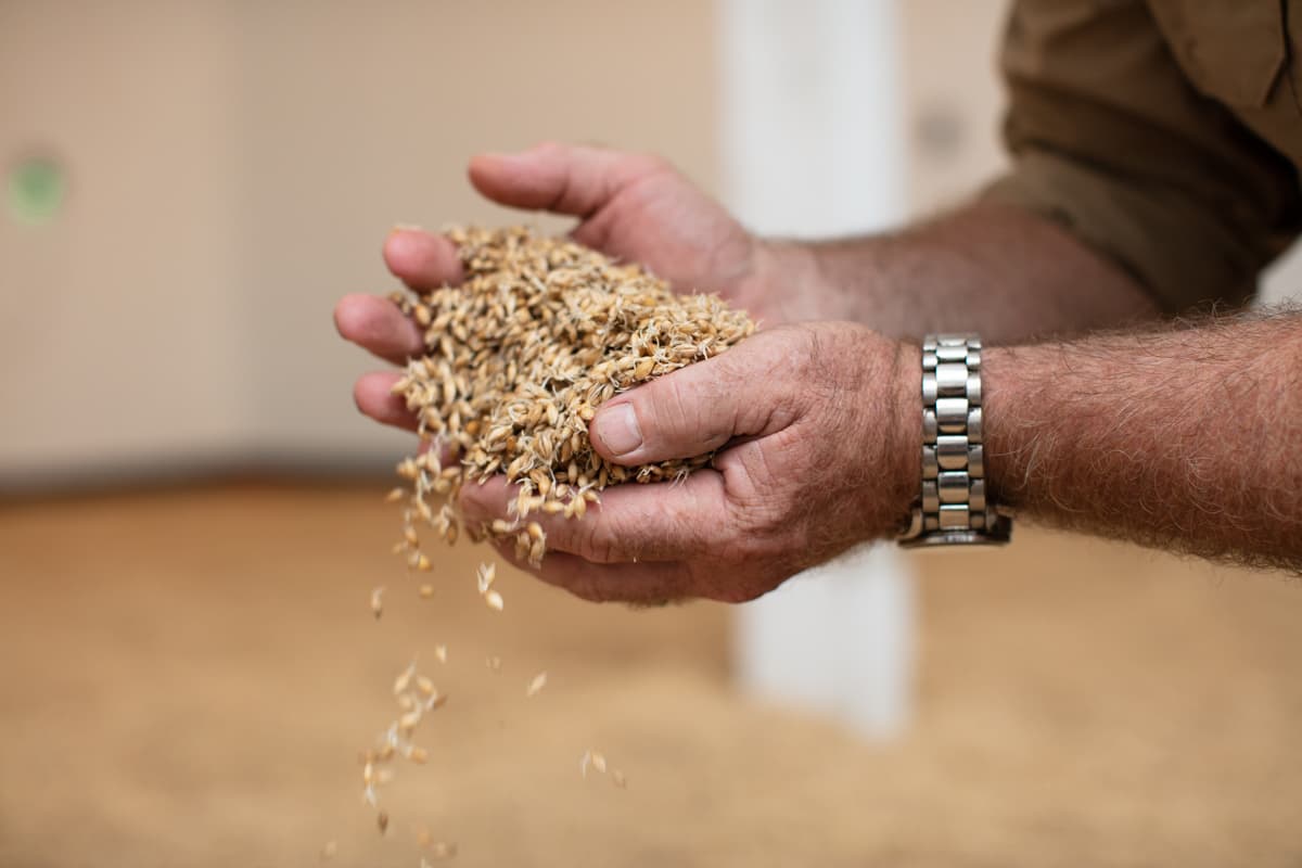 Full Video: An Inside Look at Craft Malting