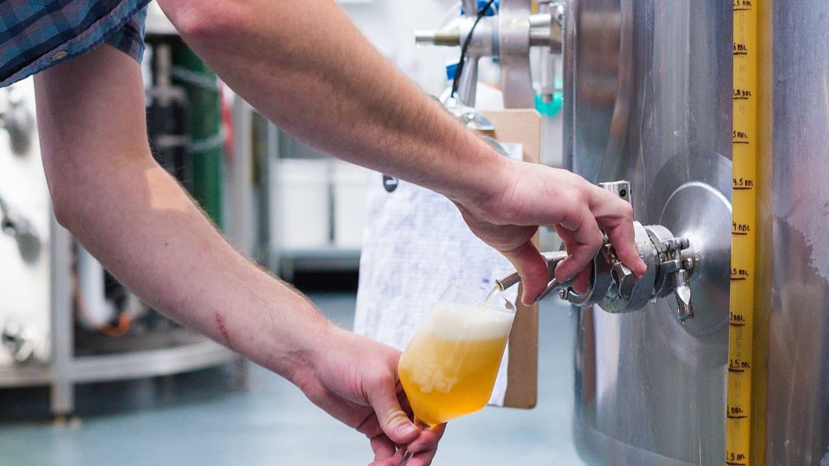 Recipe: Ruse Phantom Shore Citra Extra Pale