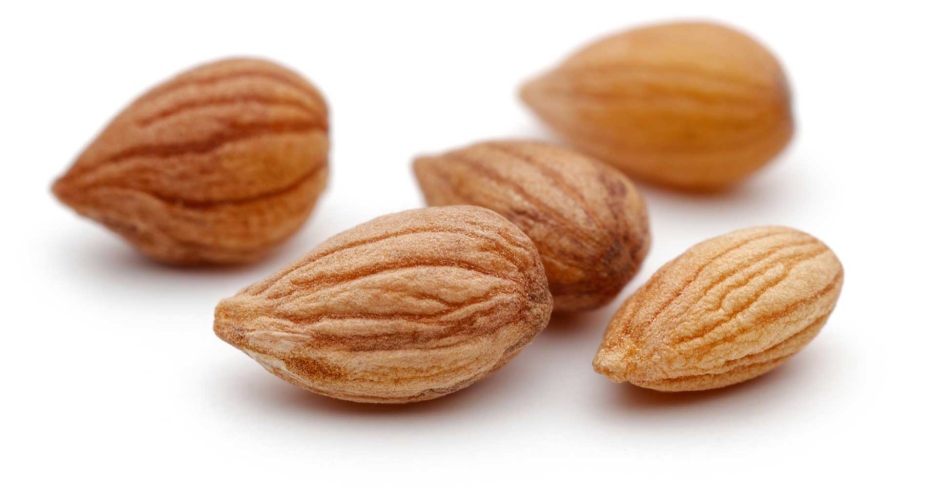 Special Ingredient: Mahlab