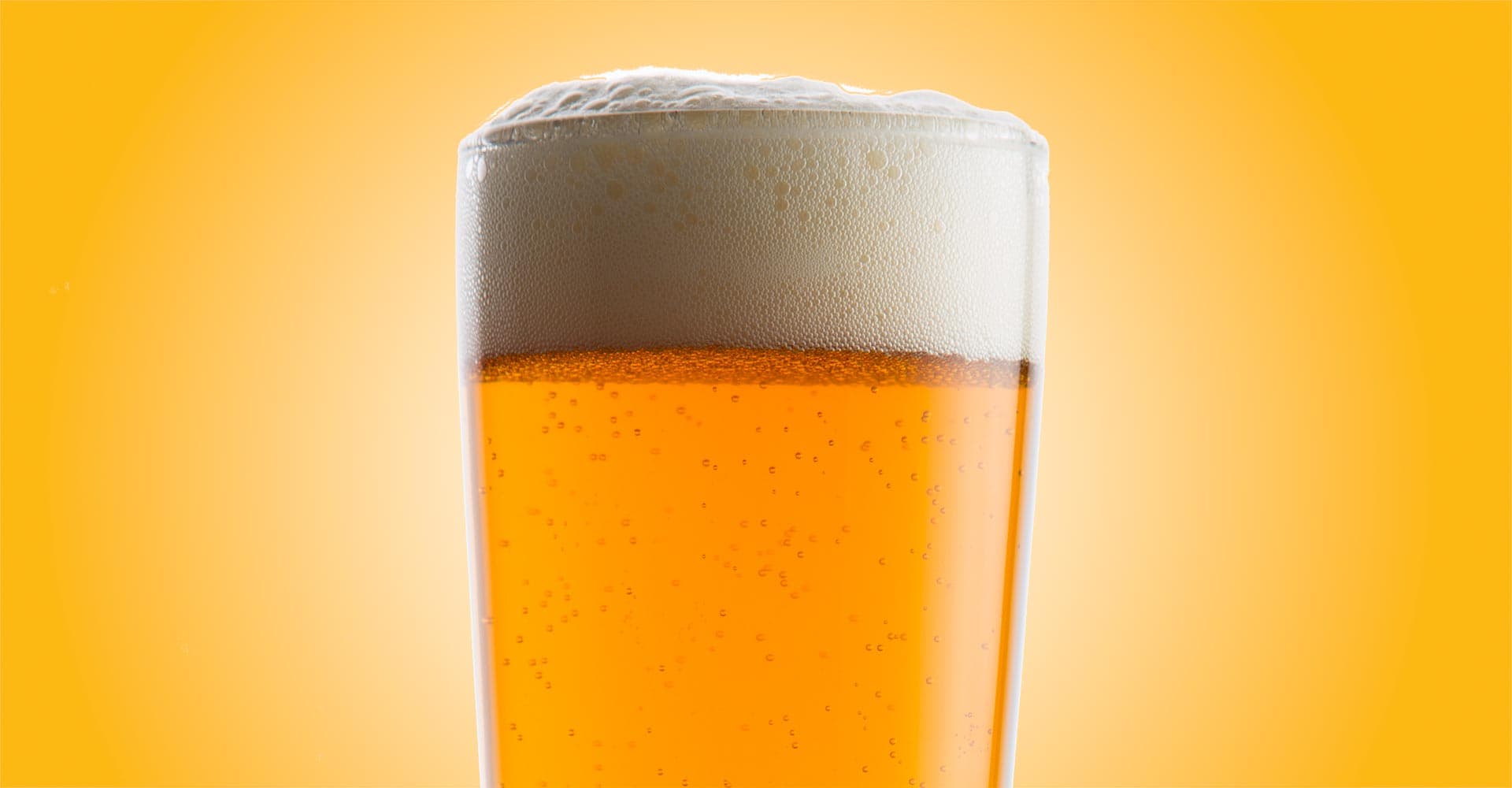 Salzburger Vienna Lager Recipe