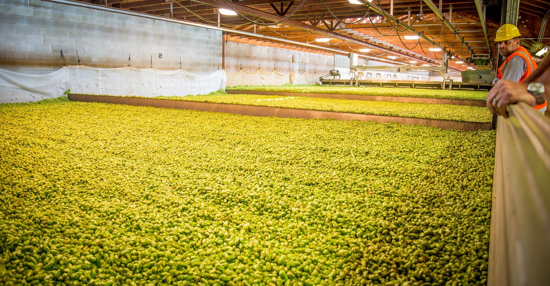 Beercation: Yakima, Washington