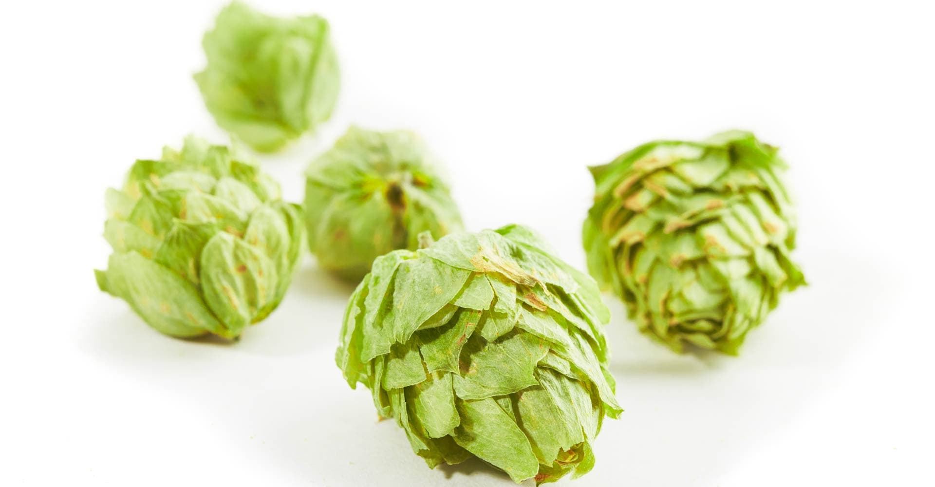 Ask the Experts: Can a Homebrewer Do a Whirlpool Addition?