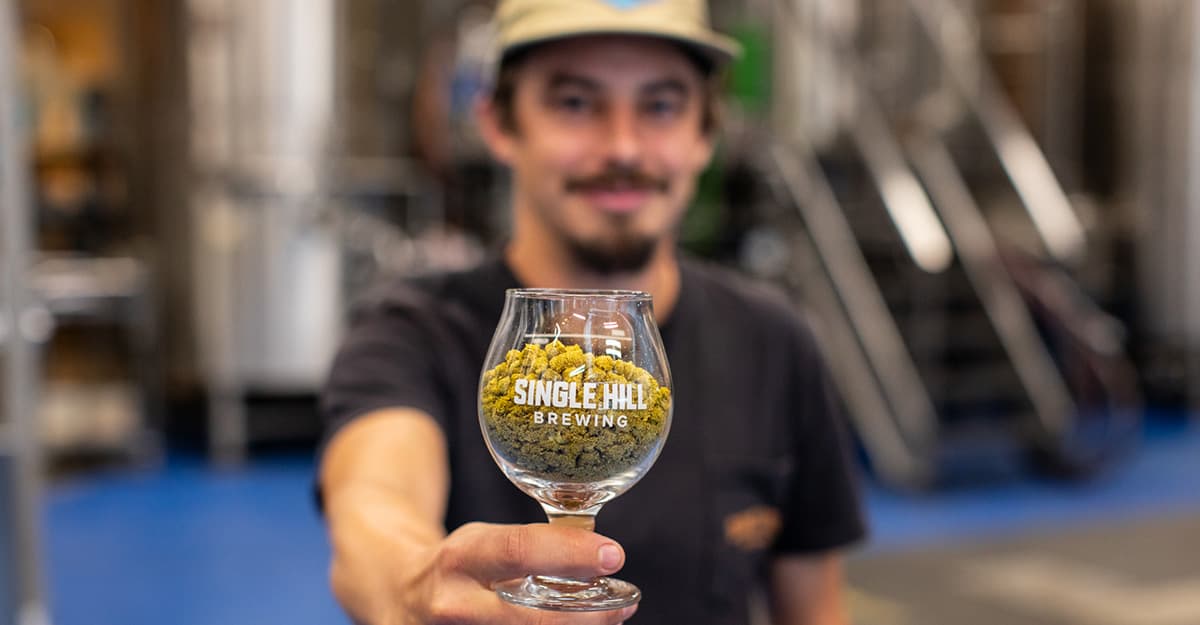 Video Course: Fresh Approaches to Fresh-Hopped Beers with Single Hill