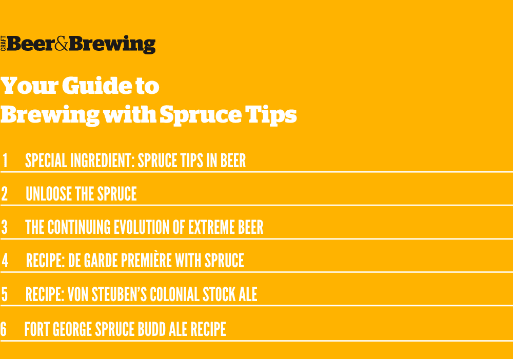 Brewing with Spruce Tips