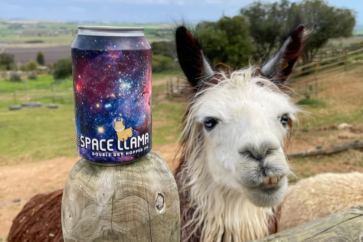 Recipe: Afro Caribbean Space Llama Hazy Double IPA