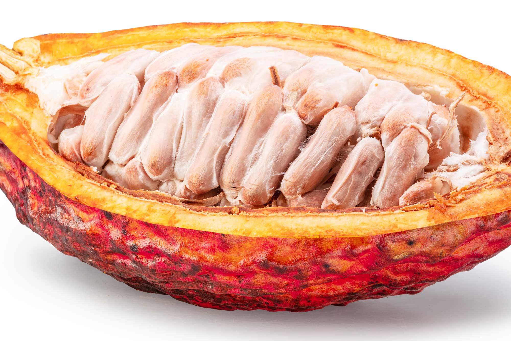 Pulp Nonfiction: The True Story of Brewing with Cacao Fruit