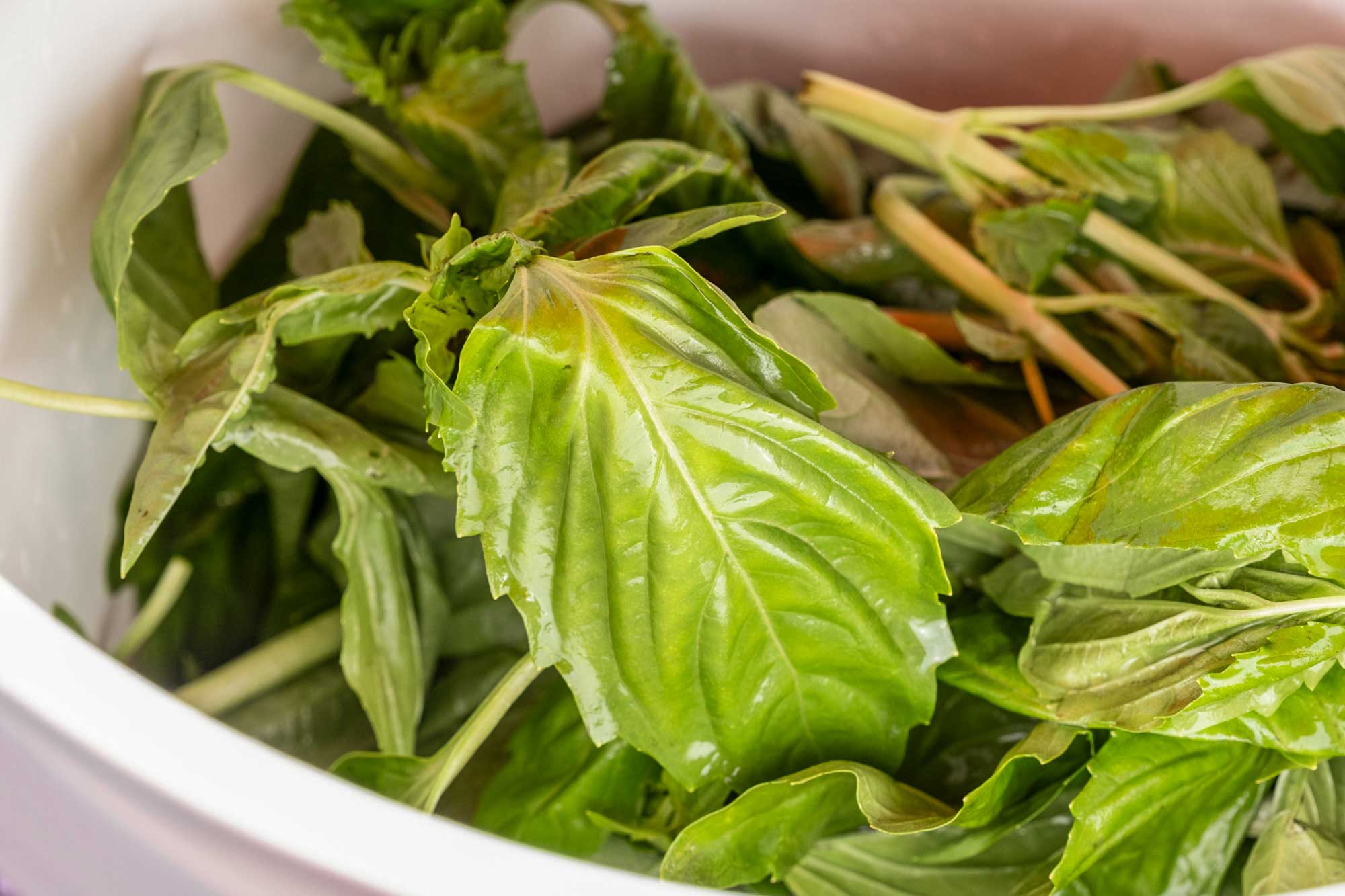 Special Ingredient: Brewing with Basil