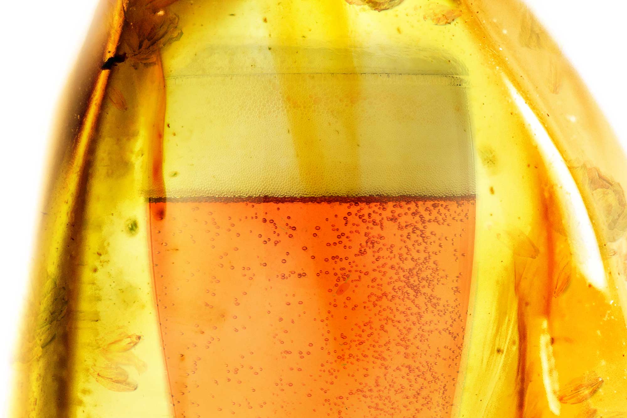 American Ale, Encased in Amber