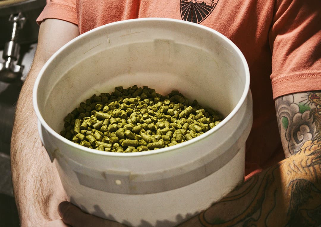 Hop Magic: Inspiration for a New Dawn of Brewing