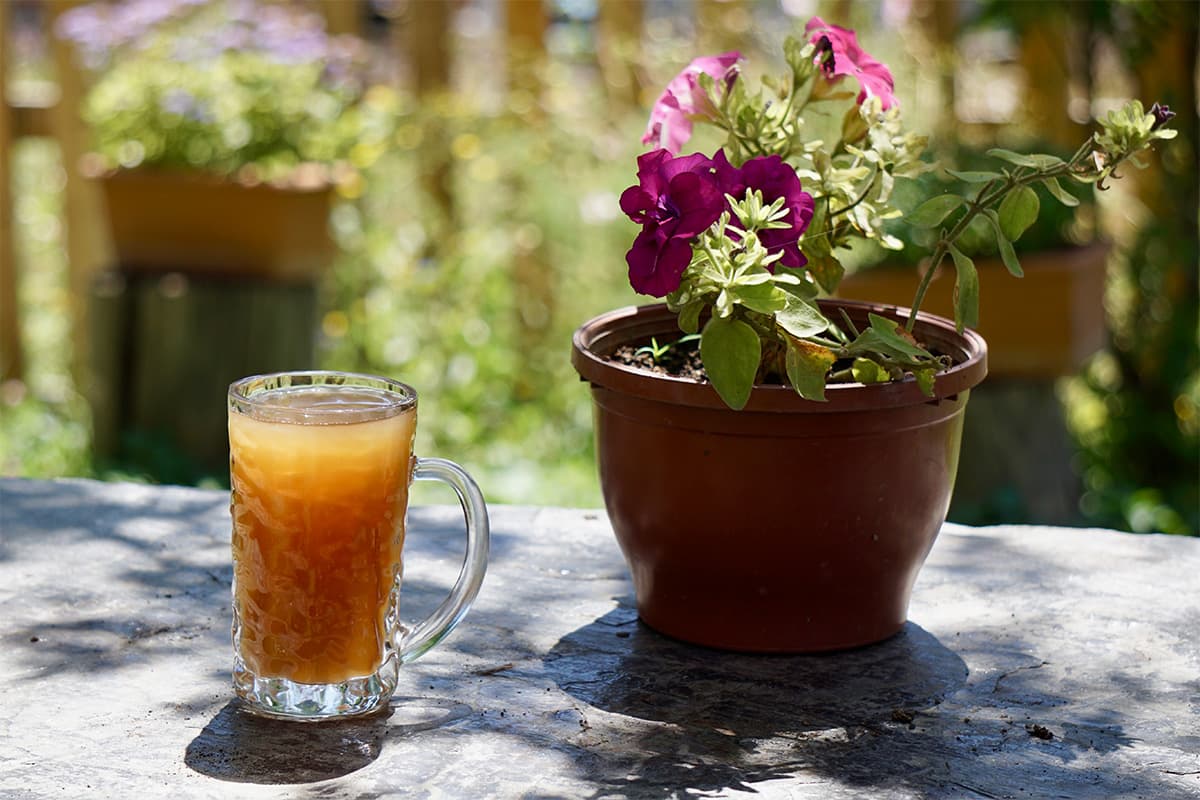 Recipe: Georgian-Style Aludi