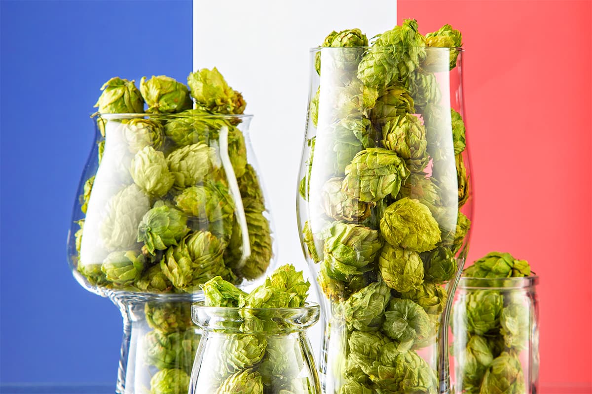 Hops of the French New Wave